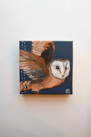 A Bird A Day No 10: The Barn Owl