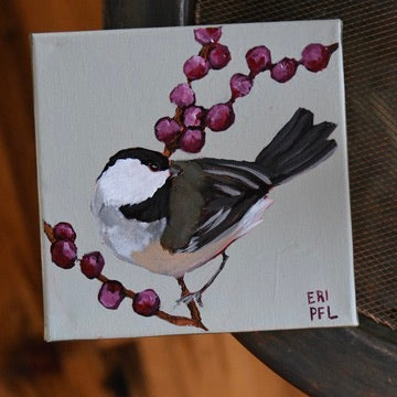 A Bird A Day No 8: The Chickadee