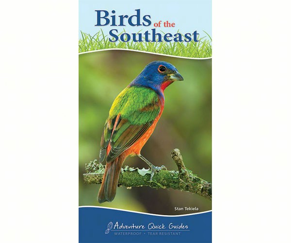 Birds of the Southeast Quick Guide