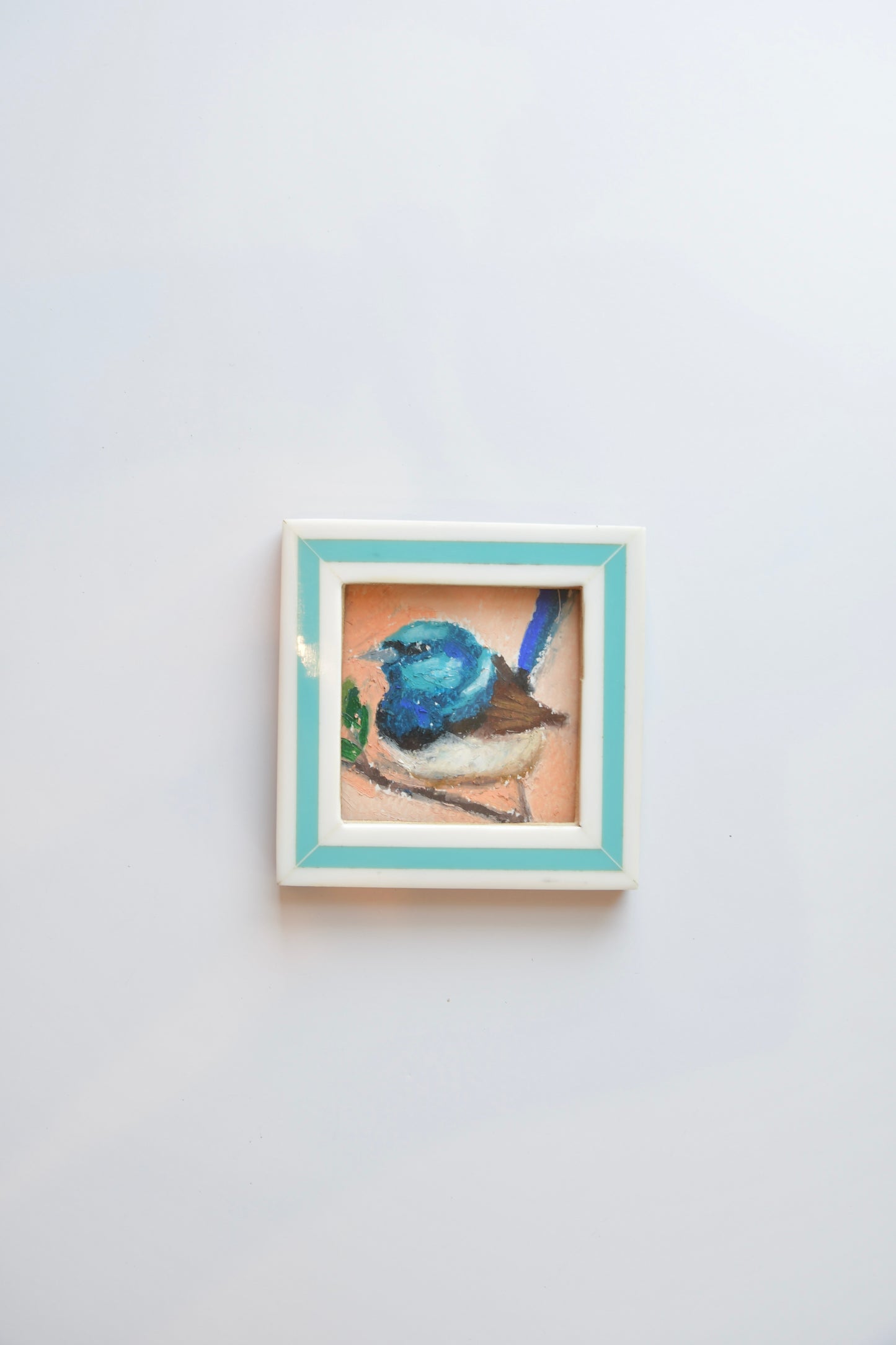 Fairy Wren- Oil Pastel
