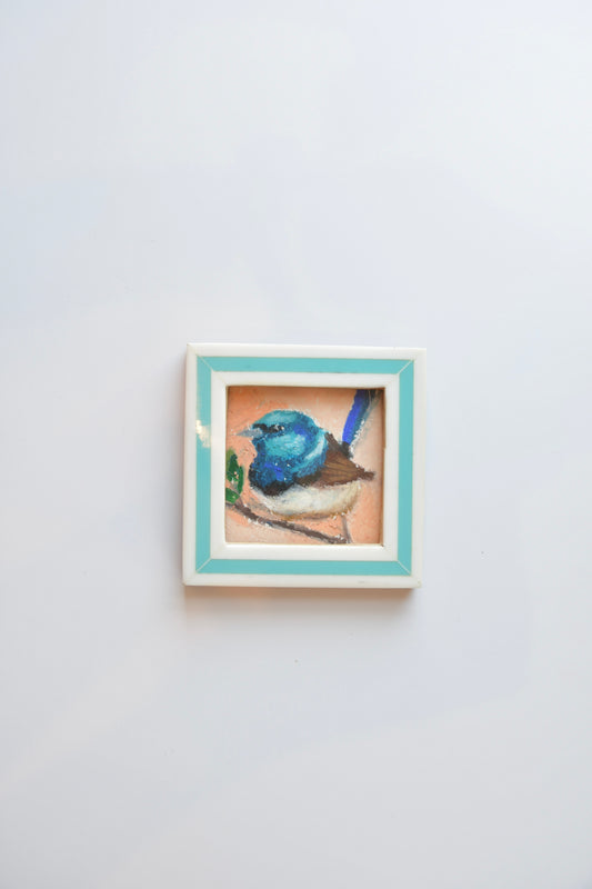 Fairy Wren- Oil Pastel