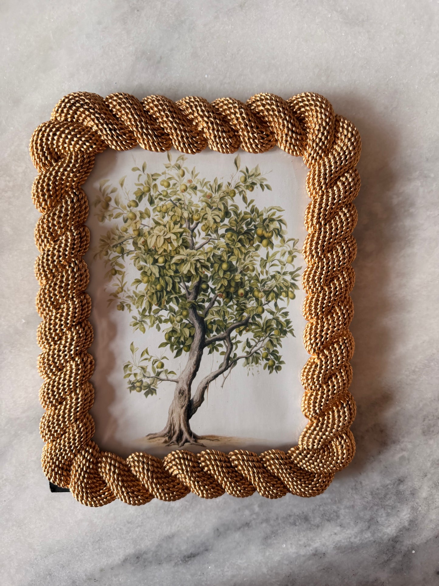 7"W x 9"H Resin Rope Photo Frame,