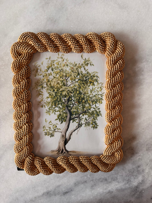 7"W x 9"H Resin Rope Photo Frame,
