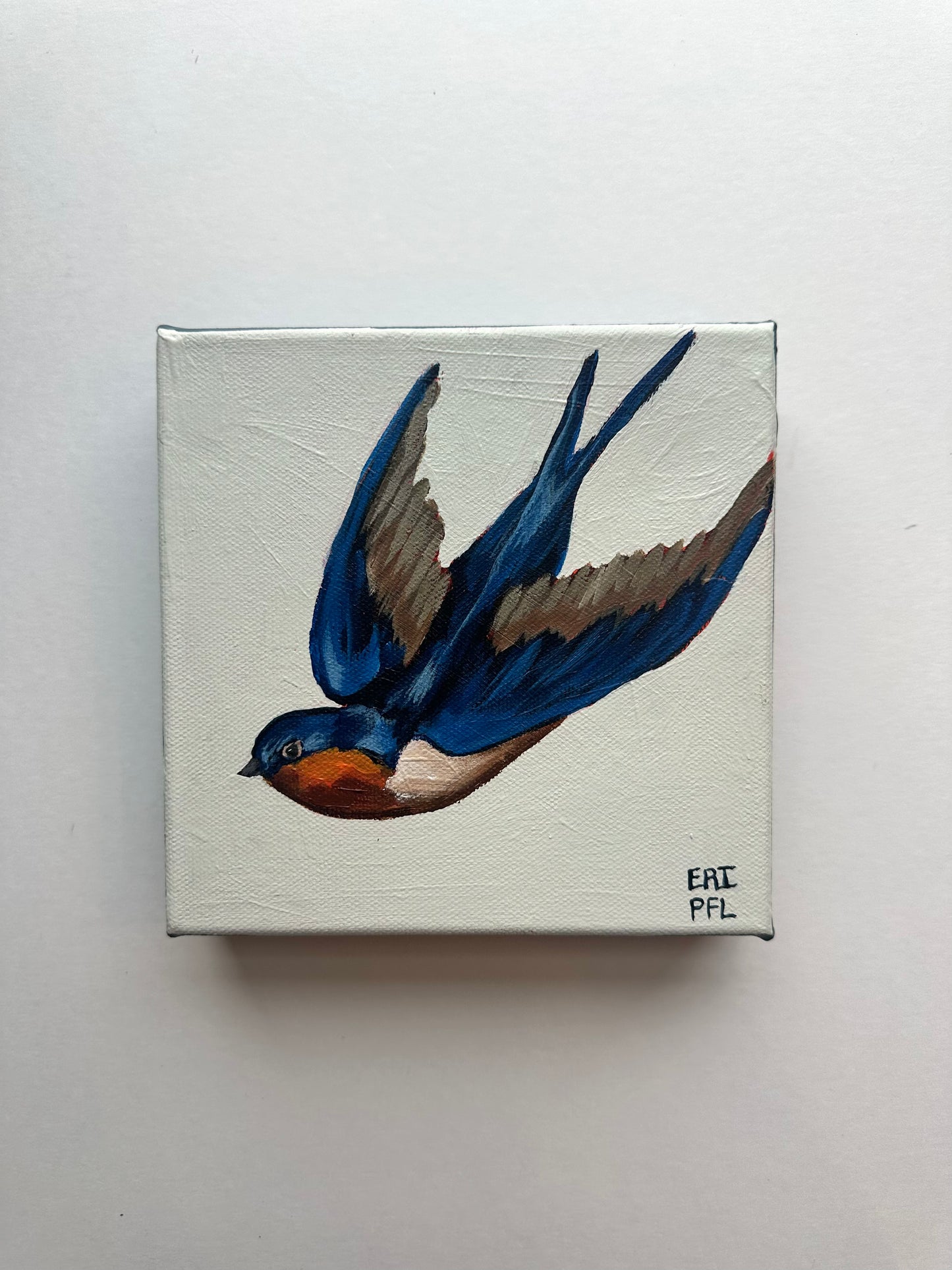 A Bird A Day No 2: The Swallow