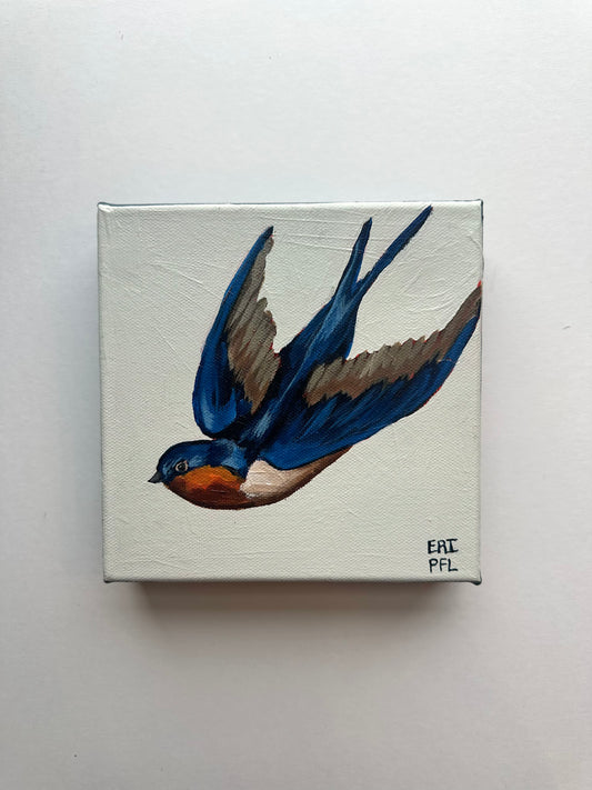 A Bird A Day No 2: The Swallow