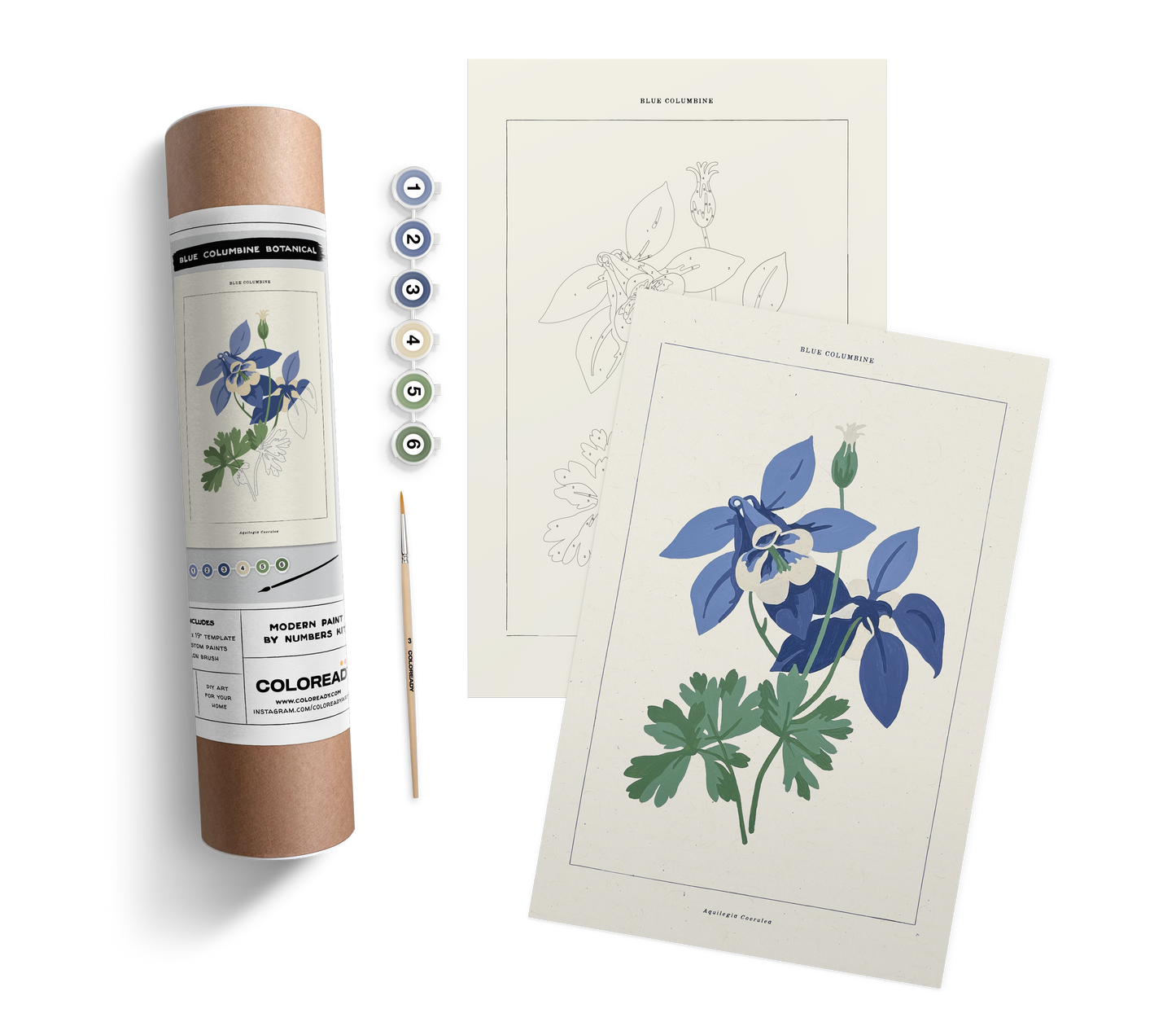 BLUE COLUMBINE BOTANICAL KIT PAINT BY NUMBER