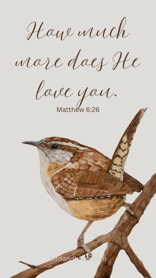Matthew 6:26 Lock Screen Digital Download