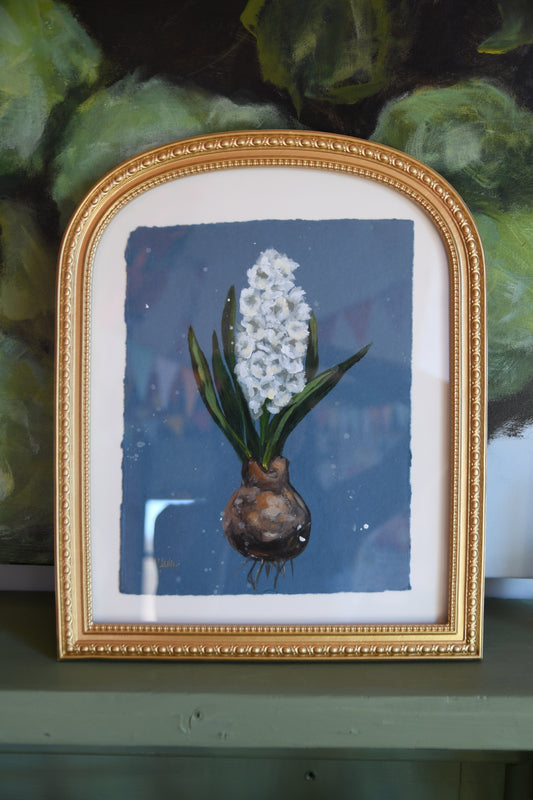 Framed Hyacinth on Blue