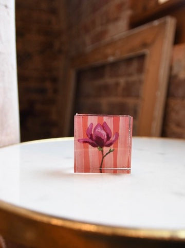Striped Tulip Magnolia Mini Lucite Art