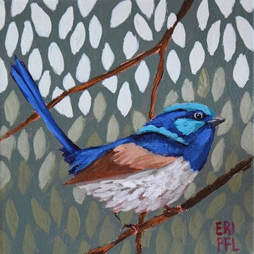 A Bird A Day No 7: The Fairy Wren
