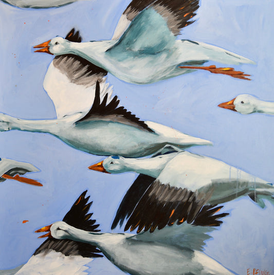 All Aflight Art Print