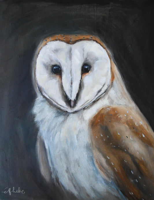 Barn Owl Art Print  8x10