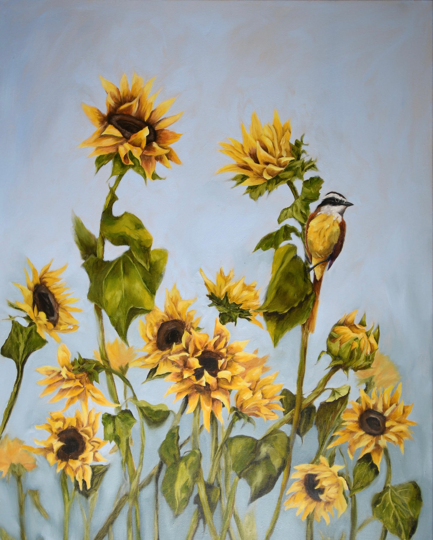 Sunflowers &  Kiskadee Art Print (8x10)