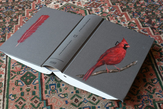 Hand-painted Men’s Bible Ready to Ship- Cardinal