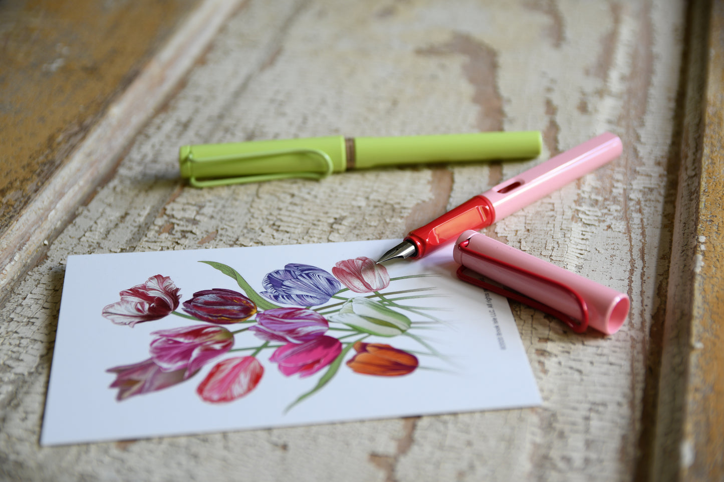 LAMY Fountain Pen Cherry Blossom