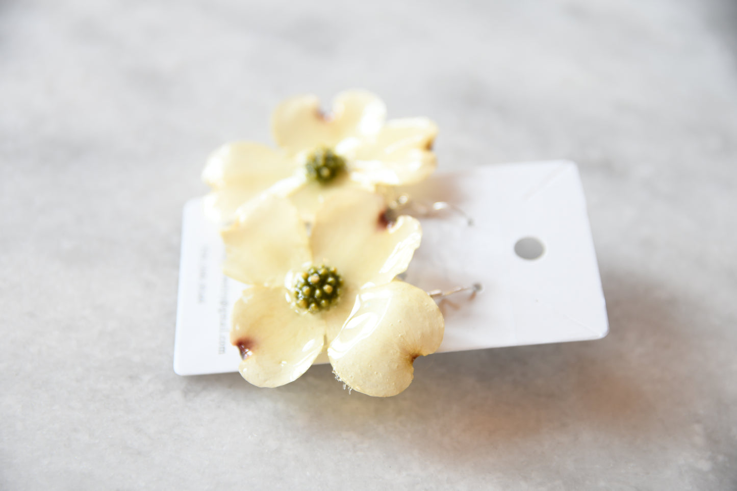 Dogwoods - Crafted with Real Flowers (Copy)