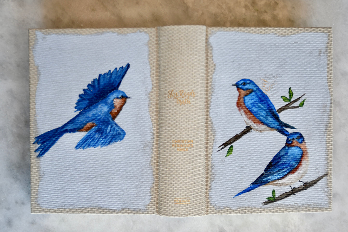 Hand painted Bible - Eastern Bluebirds