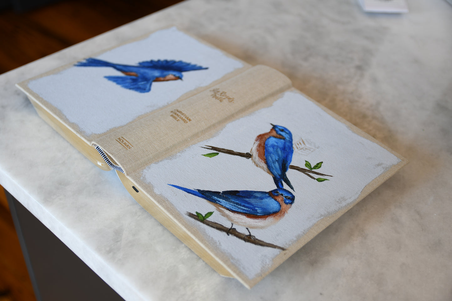 Hand painted Bible - Eastern Bluebirds