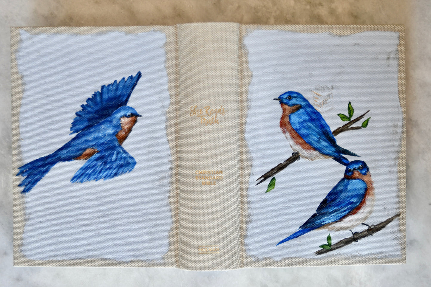 Hand painted Bible - Eastern Bluebirds