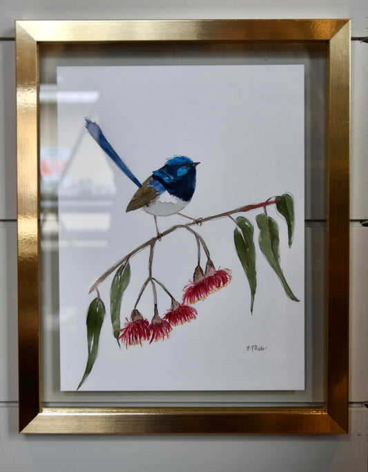 Superb Fairy Wren Watercolor & Ink