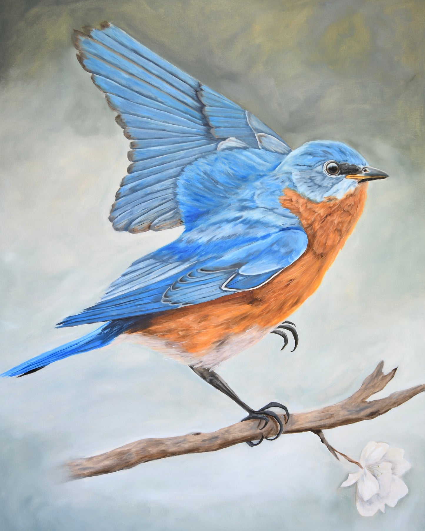 Eastern Bluebird Art Print  8x10