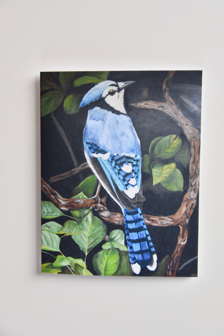 Cardinal & Bluejay - Notecard Set