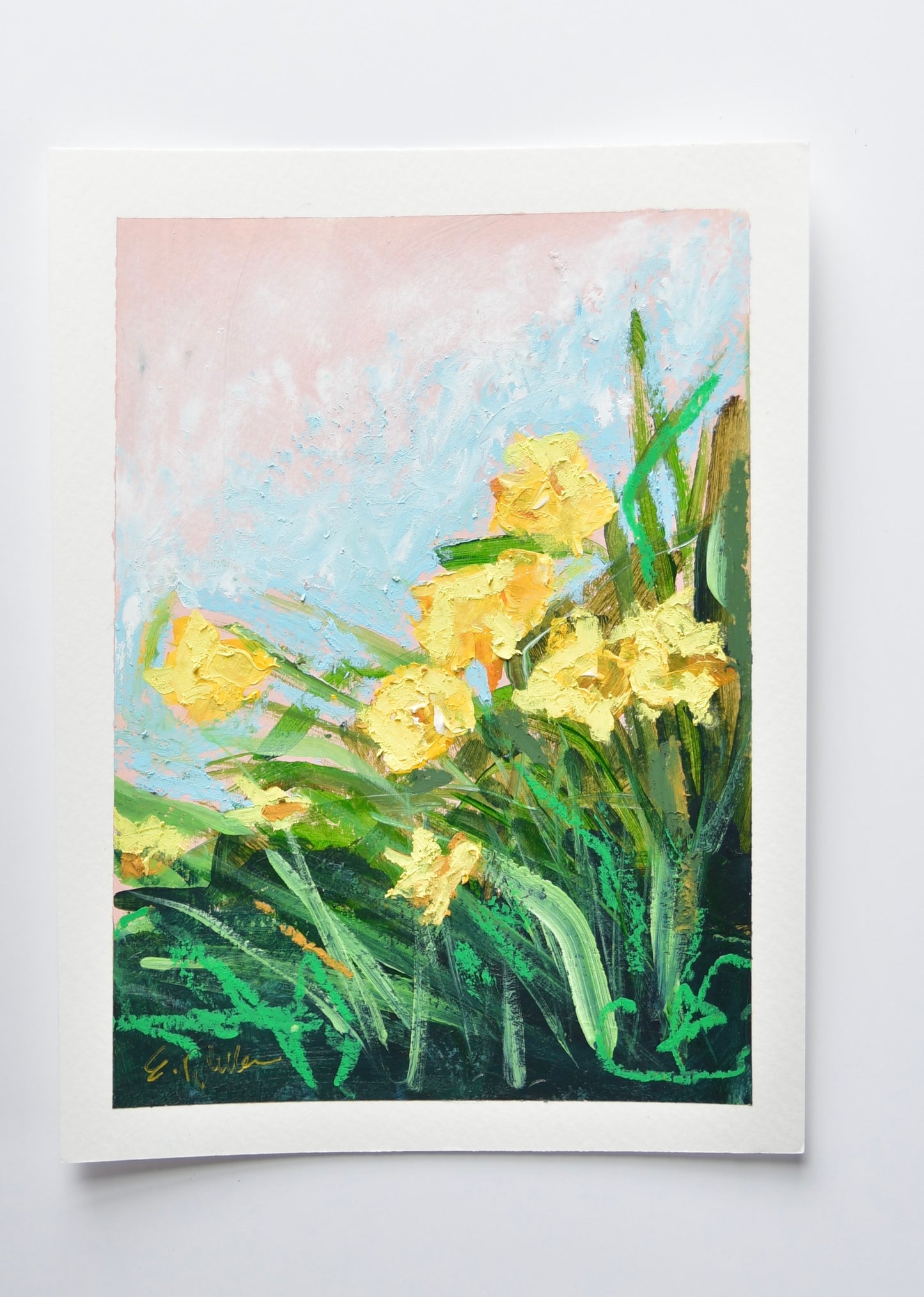 Day Lillies