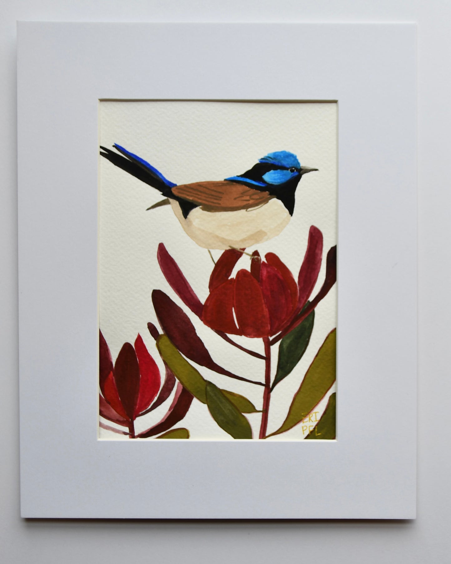 Superb Fairy Wren Original Art
