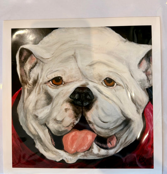 Bulldog