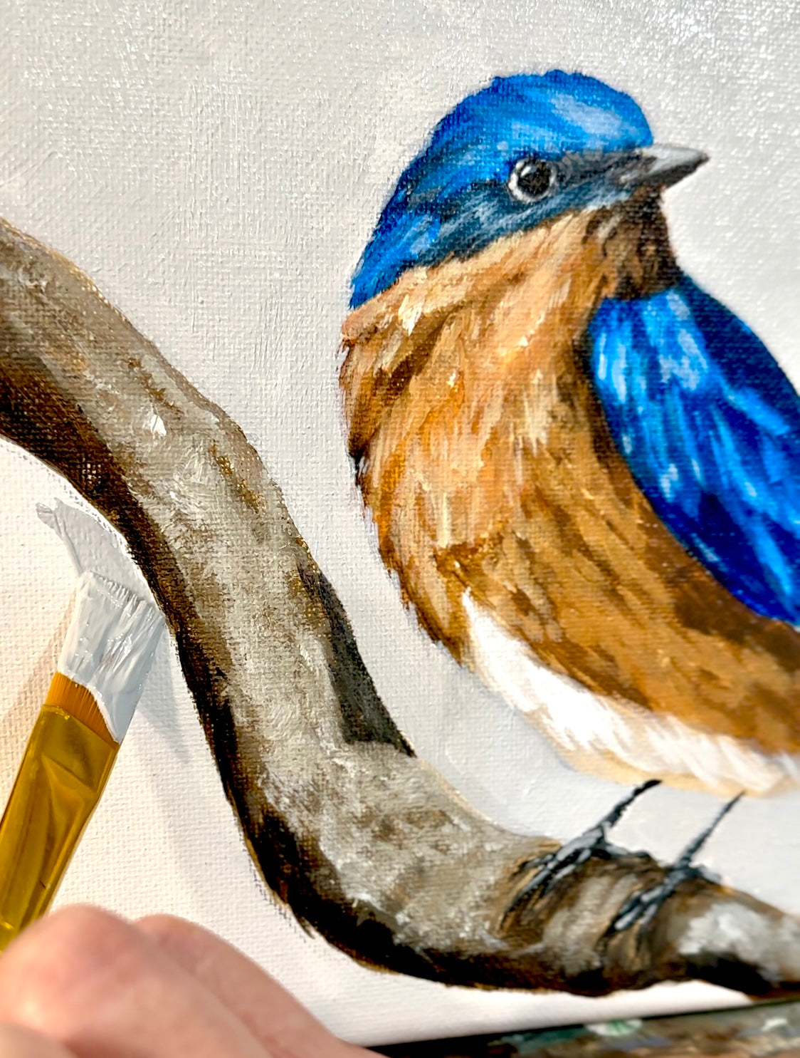 Bird Painting Workshop EVENING