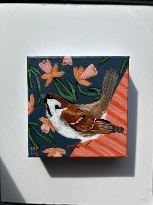 A Bird A Day No 12: The Sparrow