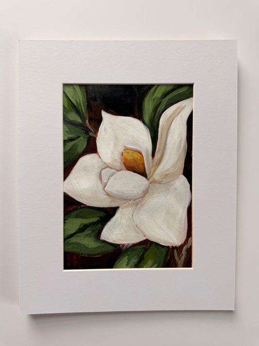 Magnolia, No 1