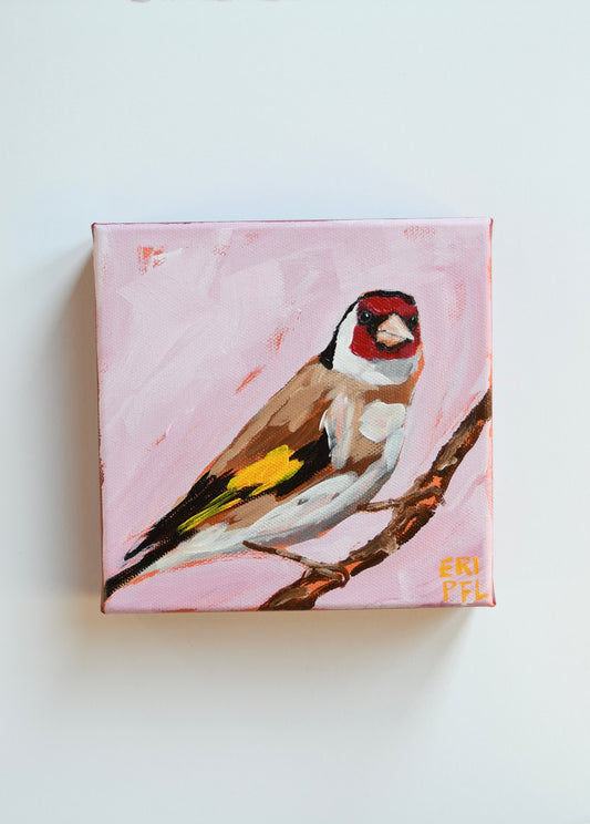 A Bird A Day No 13: The European Goldfinch (2)