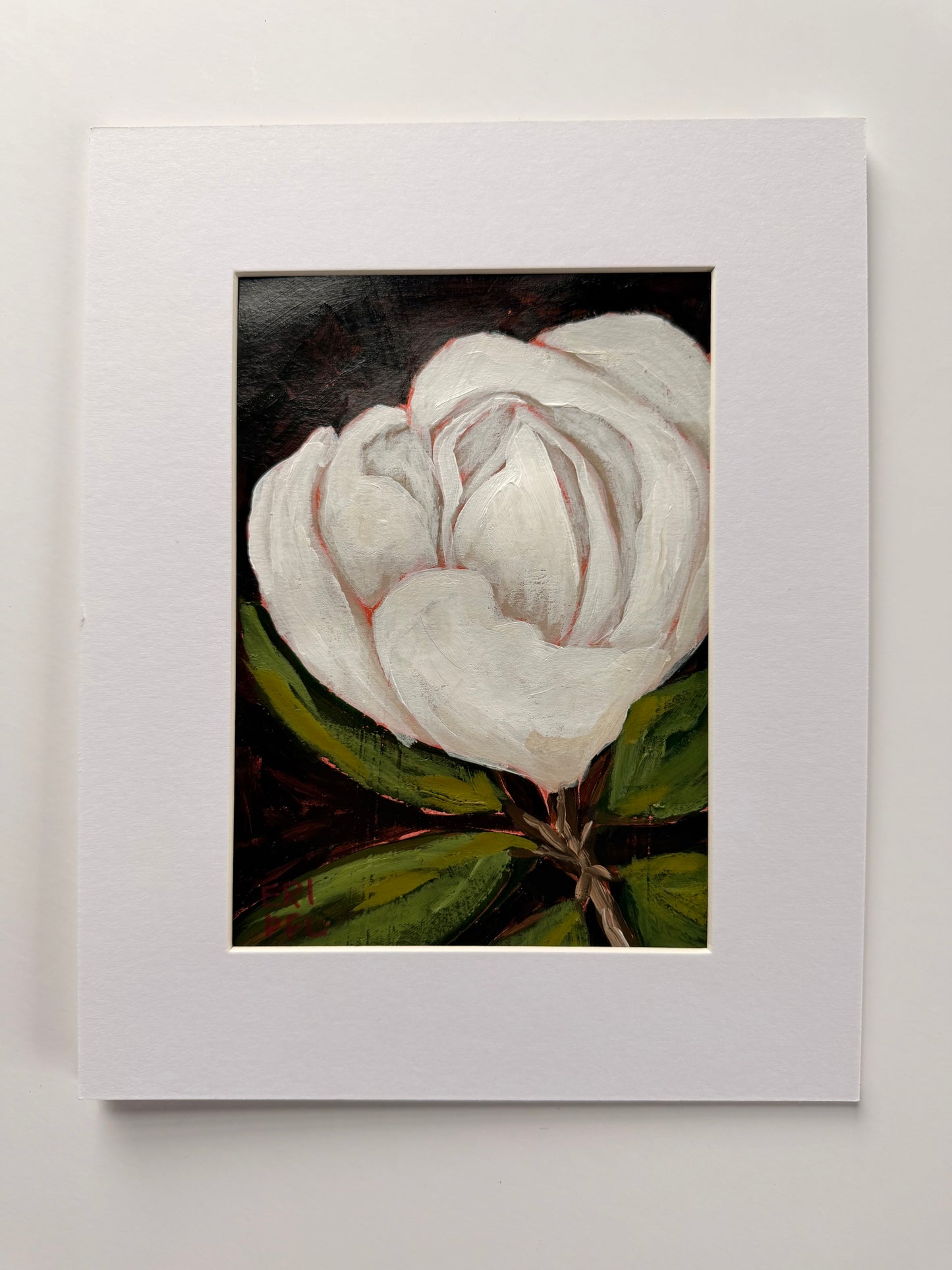 Magnolia, No 3