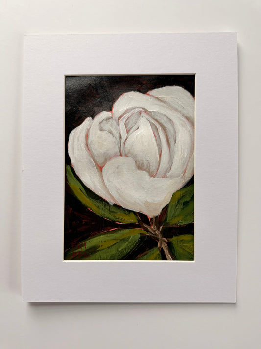 Magnolia, No 3