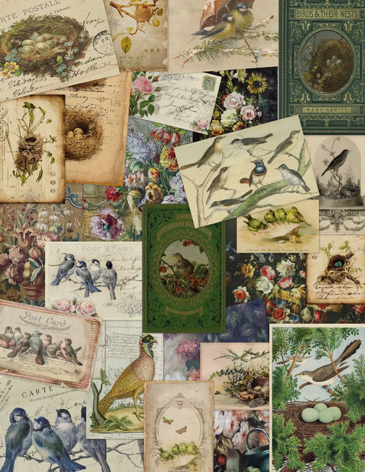 Vintage Reproduction Prints/Papers