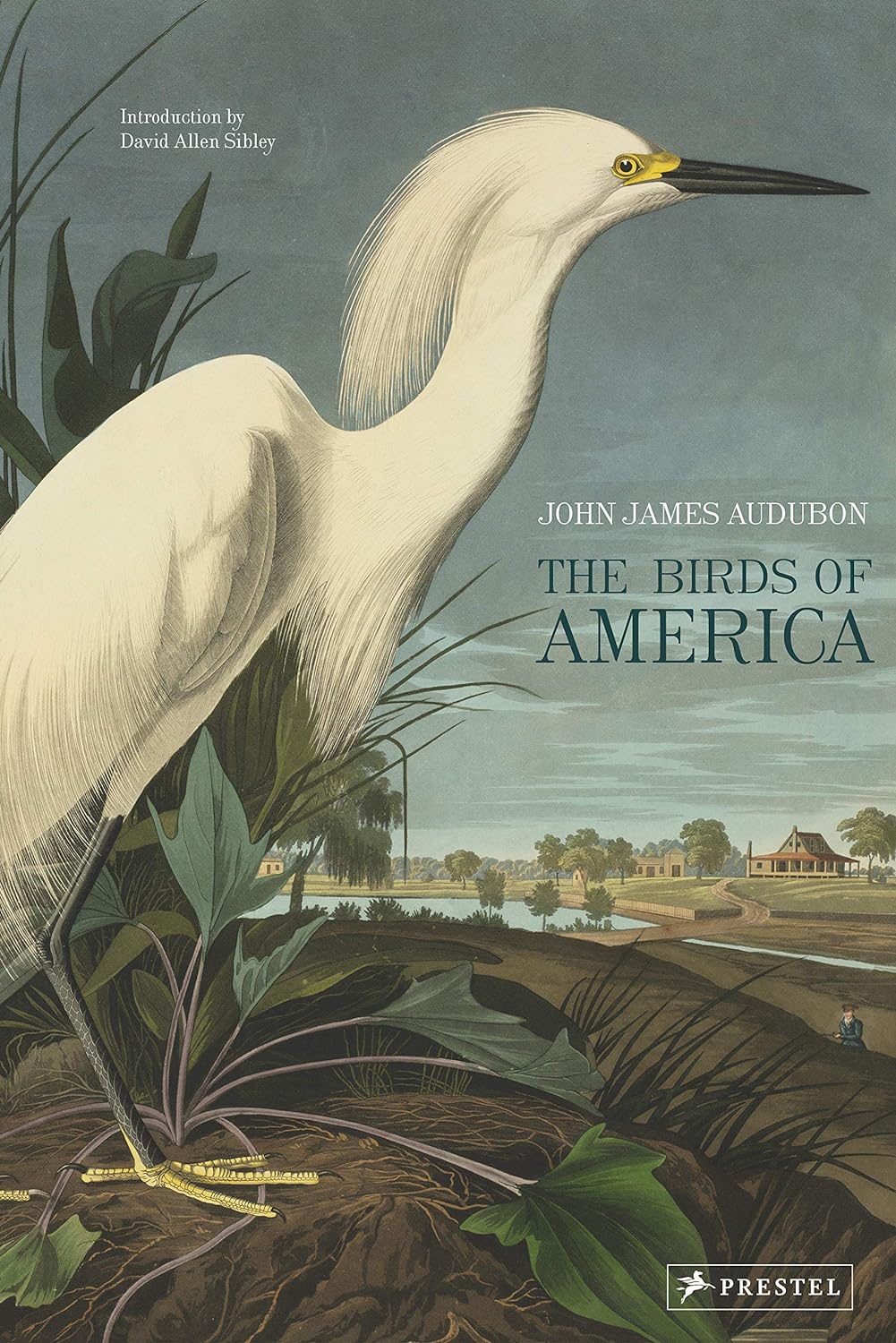 The Birds of America Book