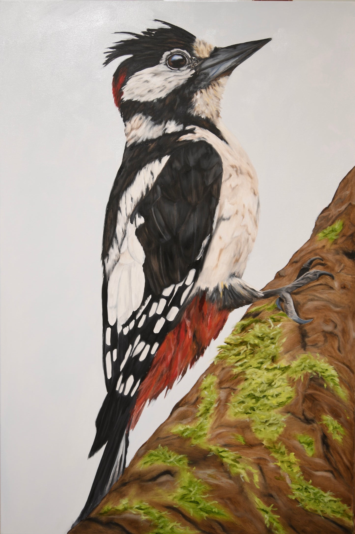 Spotted Woodpecker Original Oil Painting