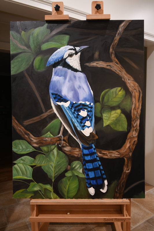 Bluejay Original Oil Painting