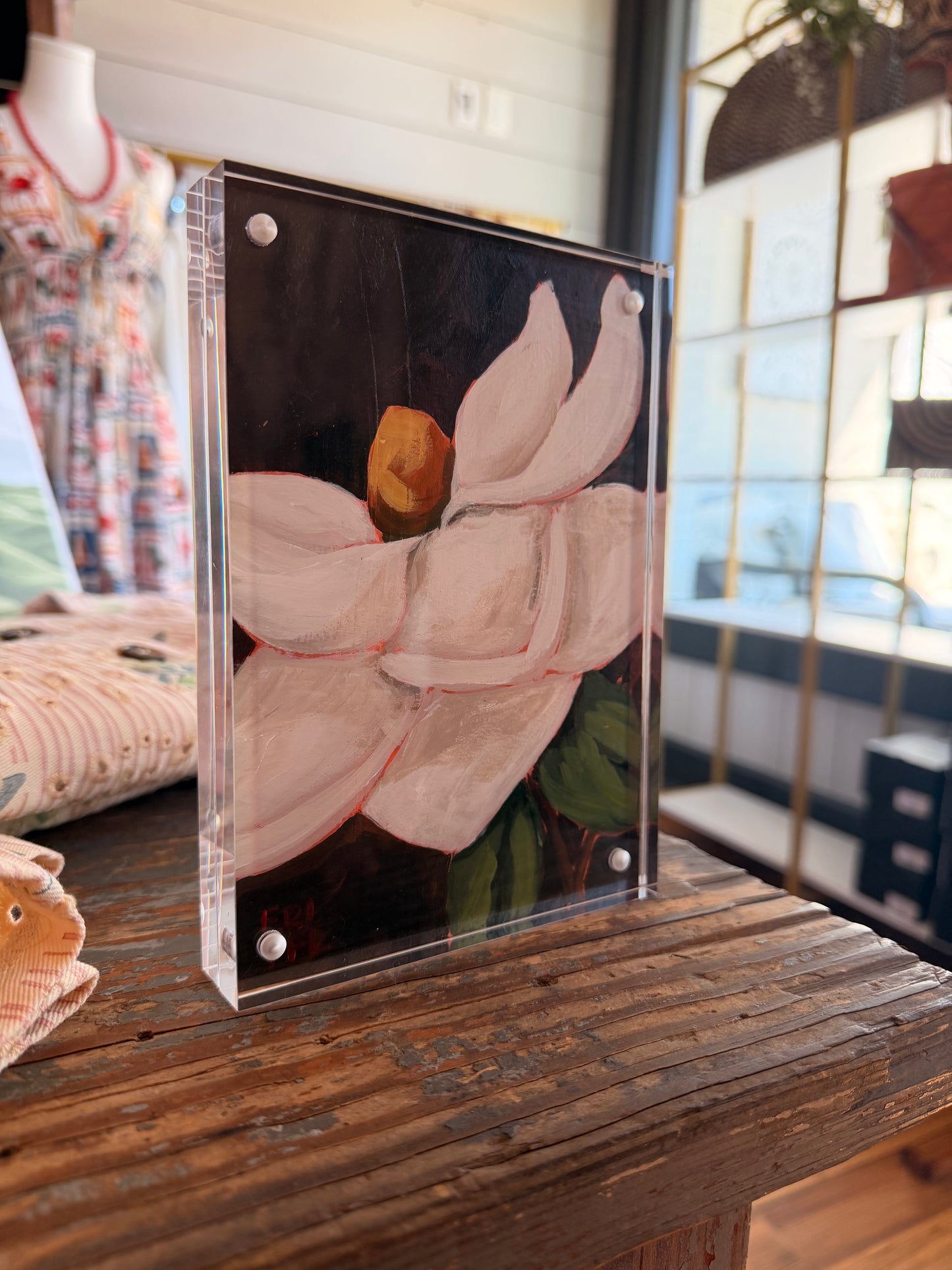 Magnolia, No 2
