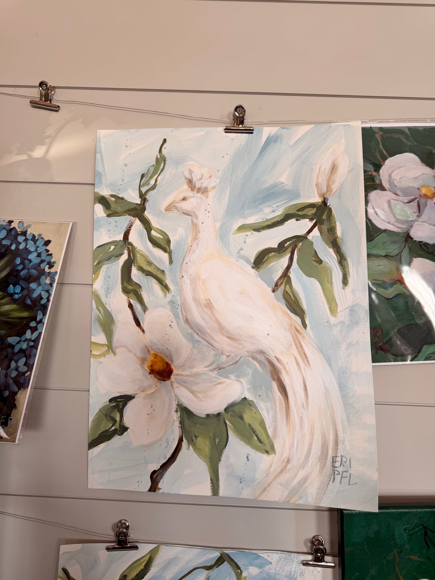 White Peacock on Paper