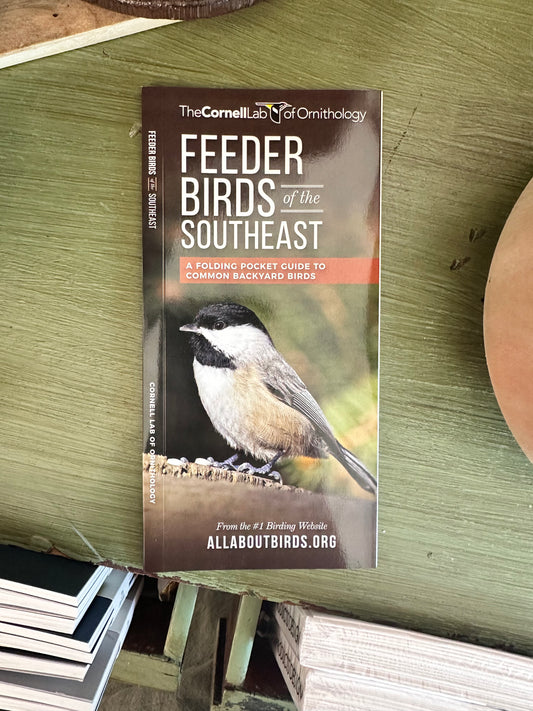 Feeder birds of the Southeast