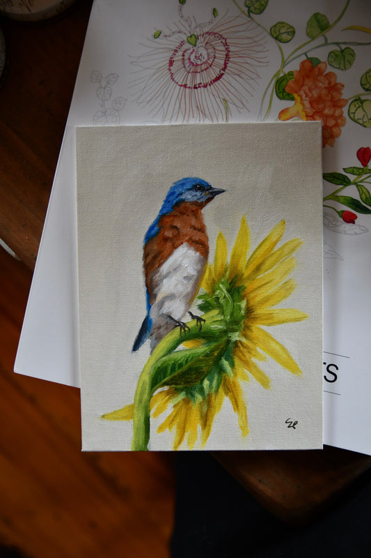 Eastern Bluebird oil painting