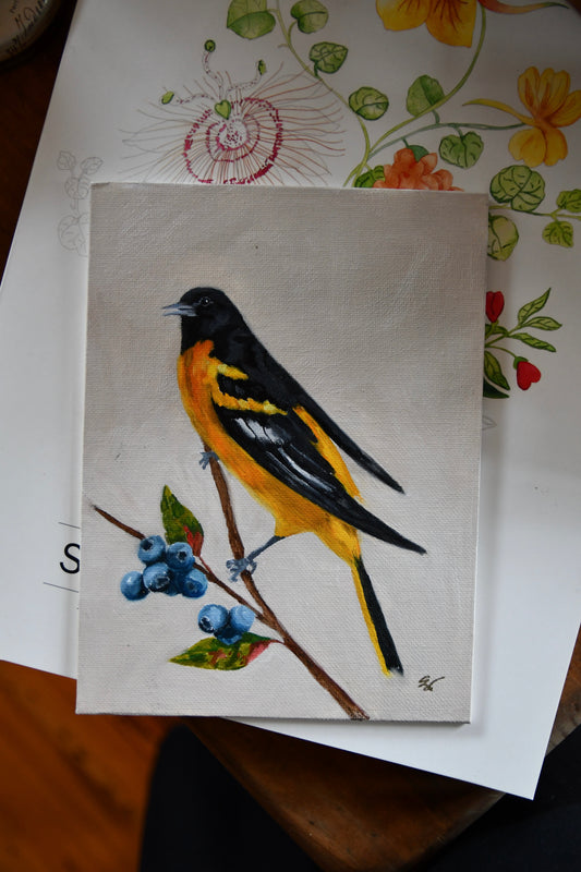 Oriole oil painting