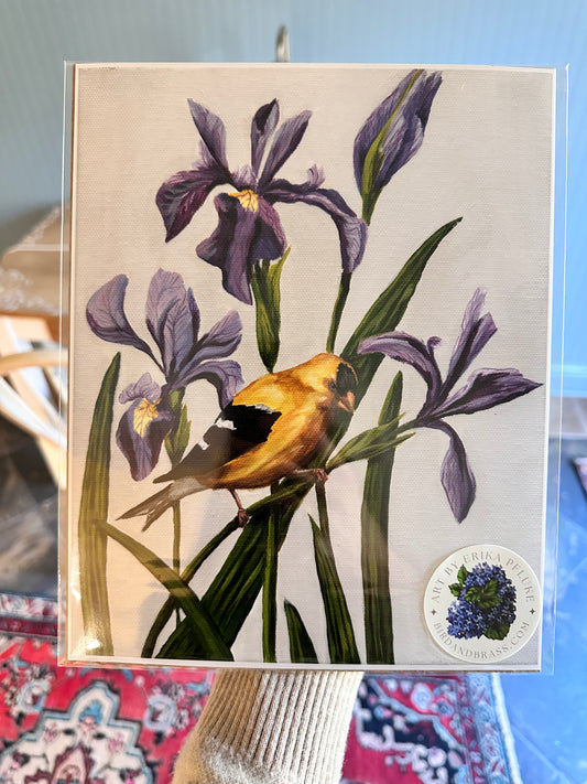 Goldfinch & Irises Textured Art Print