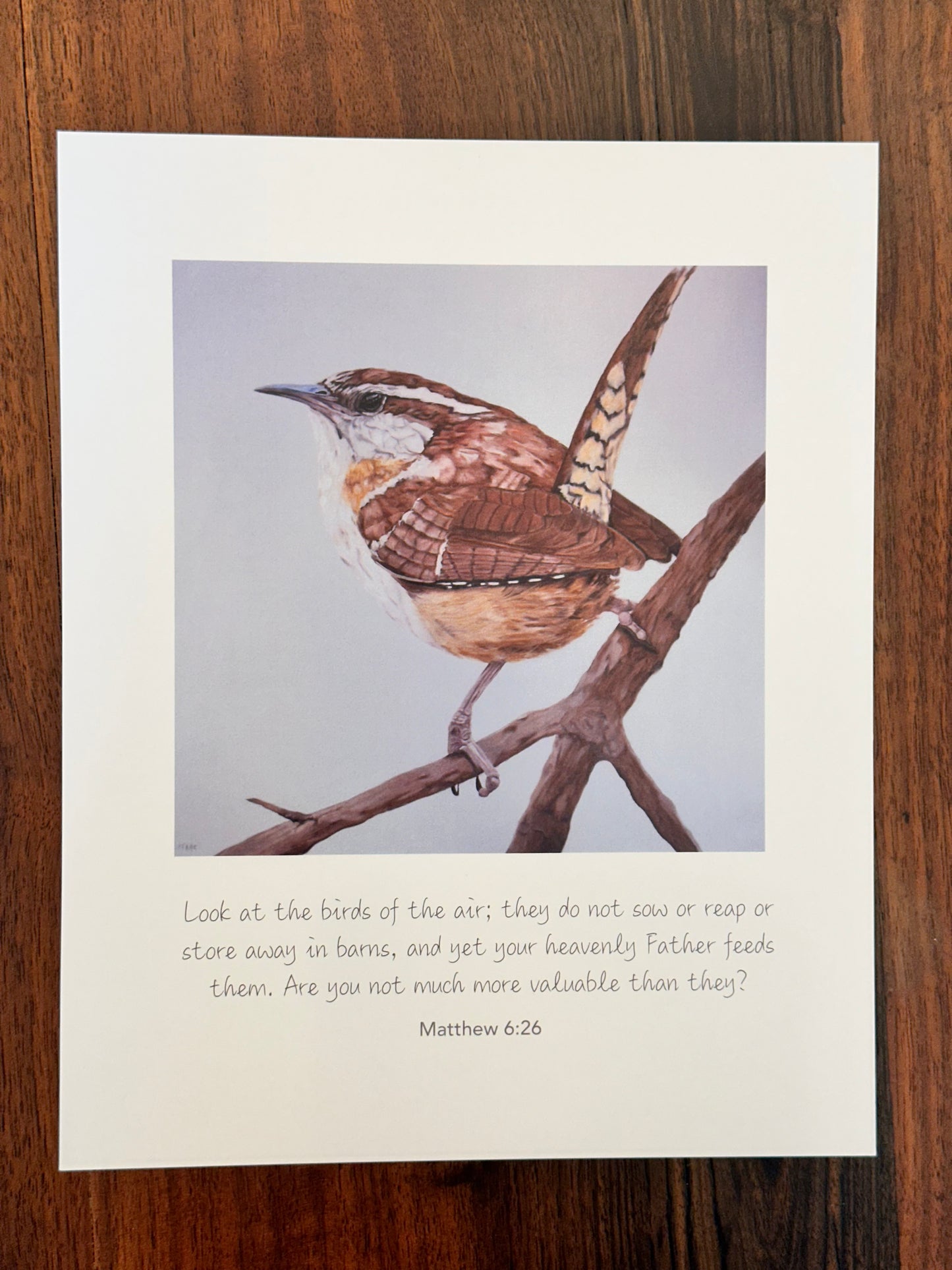 Matthew 6:26 Wren Art Print  8x10