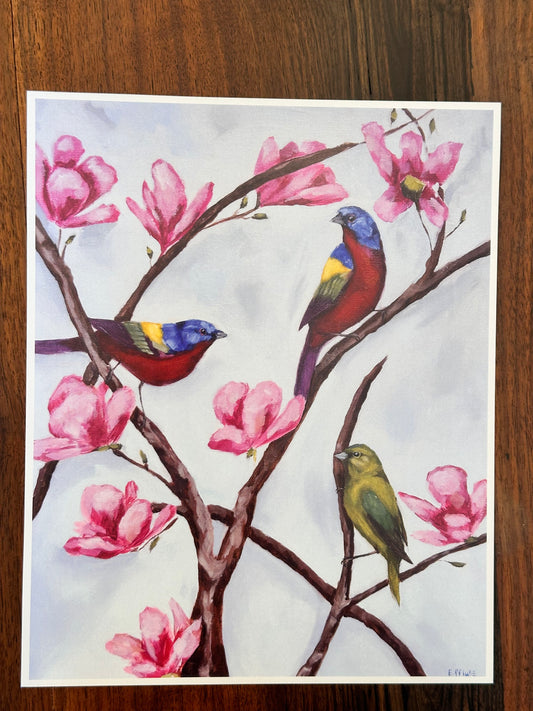 Painted Buntings  Art Print  8x10