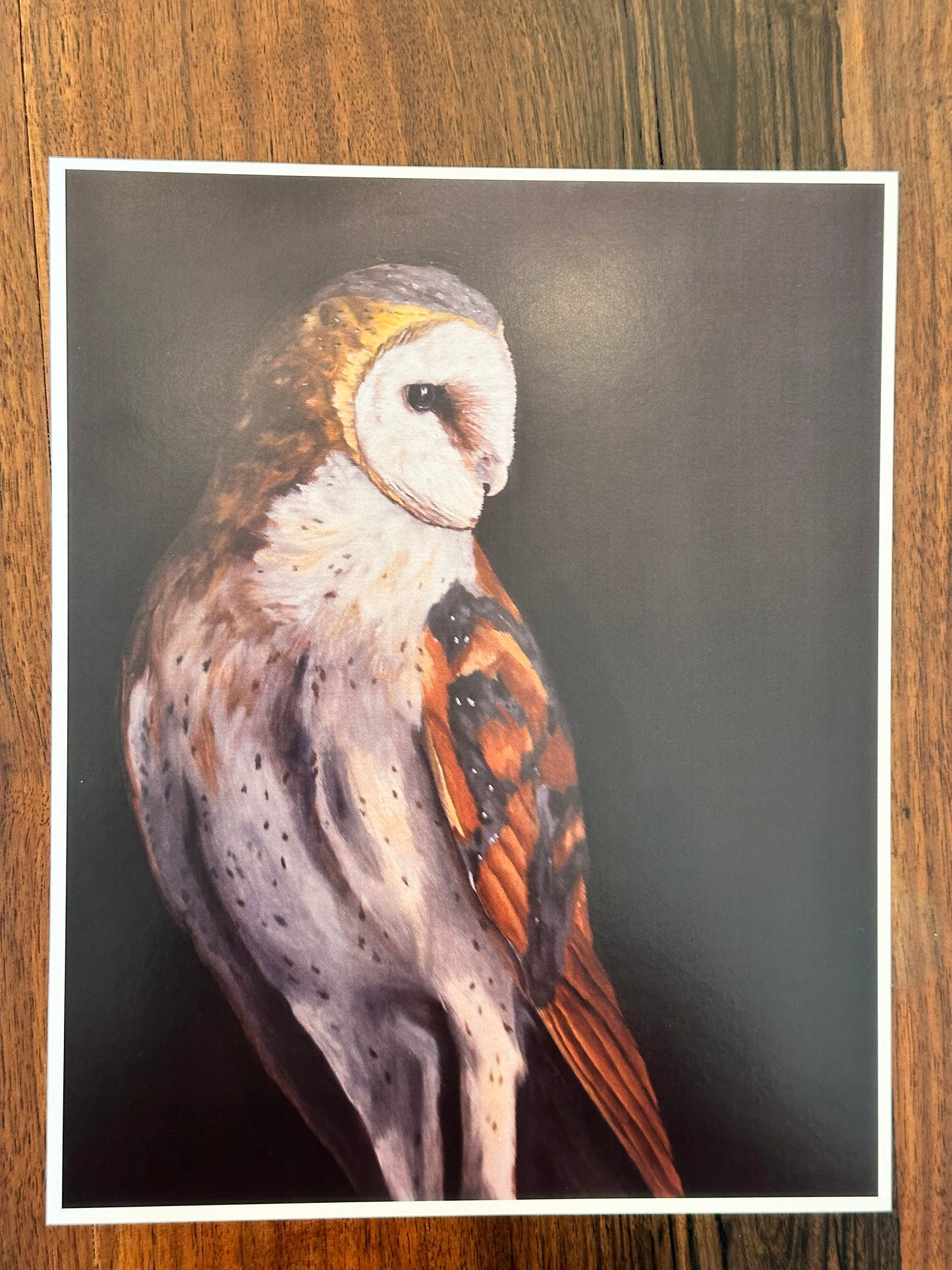 Barn Owl Art Print  8x10