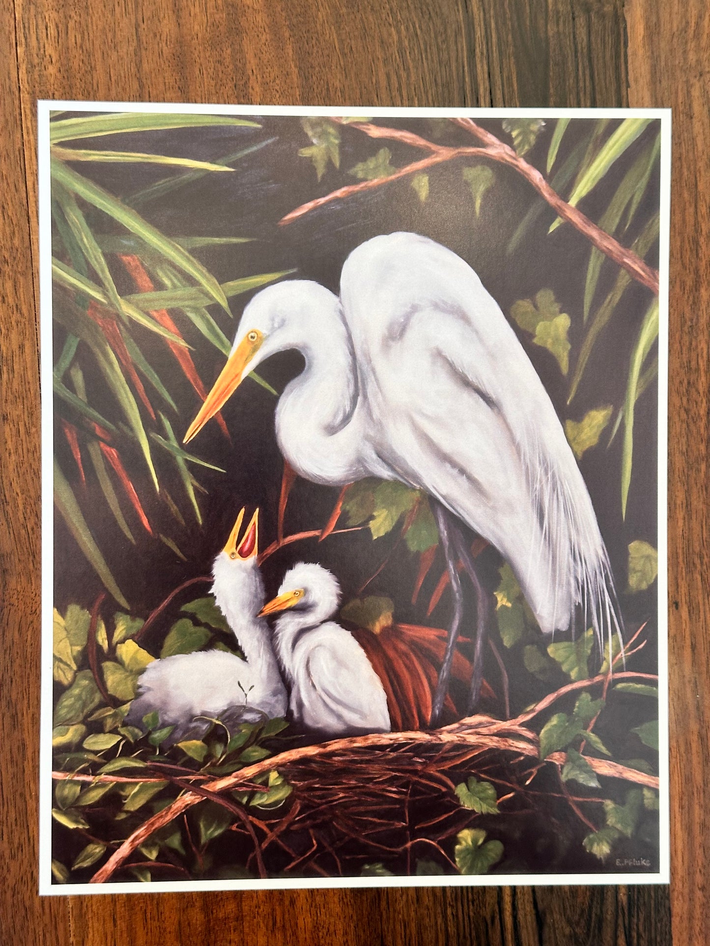 Egret Mama and Babies Art Print  8x10