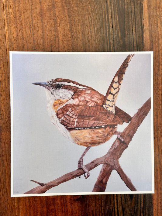 Carolina Wren Art Print  8x8